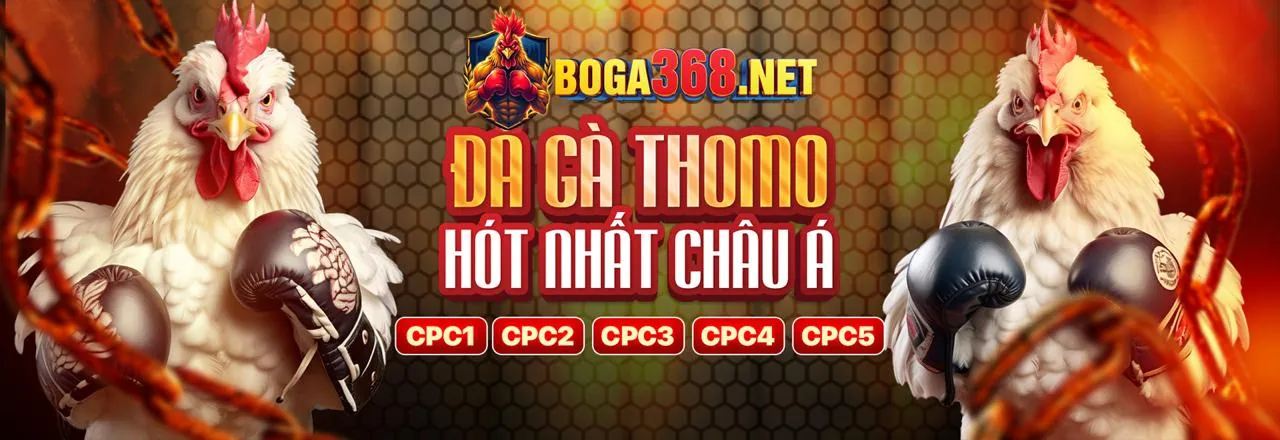 Sân chơi đá gà trực tuyến 50win