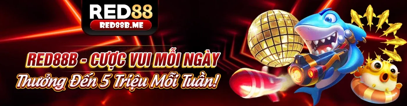Youtube 50win nhà cái